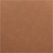 Meridian Furniture Sable Cognac Vegan Leather Dining Chair (Set of 2)