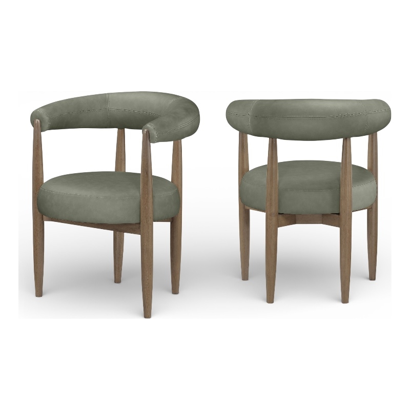 Meridian Furniture Sable Green Vegan Leather Dining Chair (Set of 2)