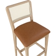 Meridian Furniture Atrium Cognac Cane And Vegan Leather Bar Stool (Set of 2)