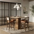 Meridian Furniture Atrium Cognac Cane And Vegan Leather Bar Stool (Set of 2)
