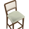 Meridian Furniture Atrium Mint Cane And Vegan Leather Bar Stool (Set of 2)