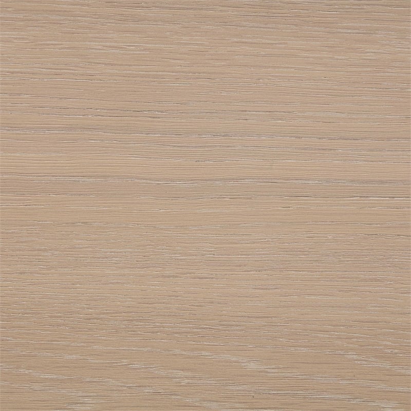 Meridian Furniture Atelier Black Vegan Leather Dining Chair (Set of 2)