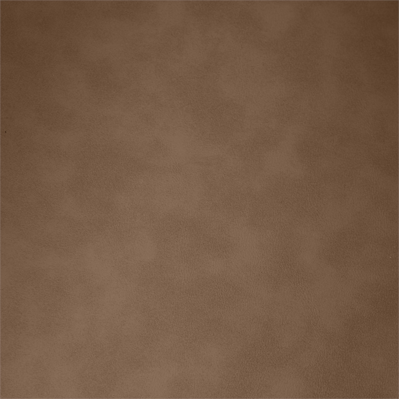 Meridian Furniture Atelier Brown Vegan Leather Dining Chair (Set of 2)