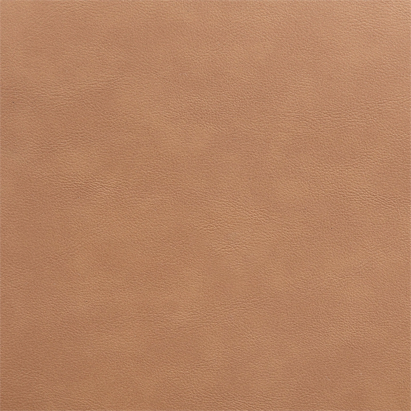 Meridian Furniture Atelier Cognac Vegan Leather Dining Chair (Set of 2)