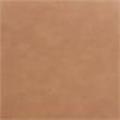 Meridian Furniture Atelier Cognac Vegan Leather Dining Chair (Set of 2)