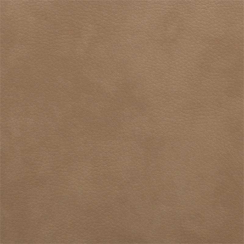 Meridian Furniture Paloma Tan Vegan Leather Dining Chair (Set of 2)