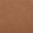 Meridian Furniture Ellis Cognac Vegan Leather Dining Chair (Set of 2)