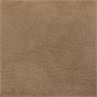 Meridian Furniture Ellis Tan Vegan Leather Counter Stool (Set of 2)
