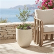 Meridian Furniture Florique Cream Indoor / Outdoor Concrete Planter