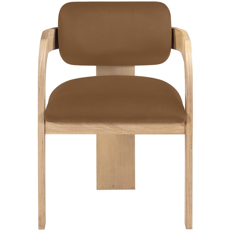 Meridian Furniture Cedra Saddle Velvet Performance Fabric DC (Set of 2)