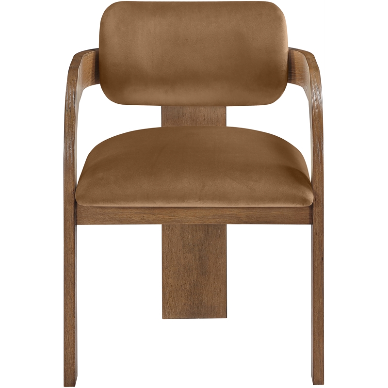 Meridian Furniture Cedra Saddle Velvet Performance Fabric DC (Set of 2)