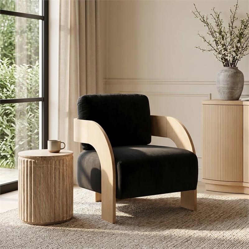 Meridian Furniture Cedra Black Velvet Performance Fabric Accent Chair