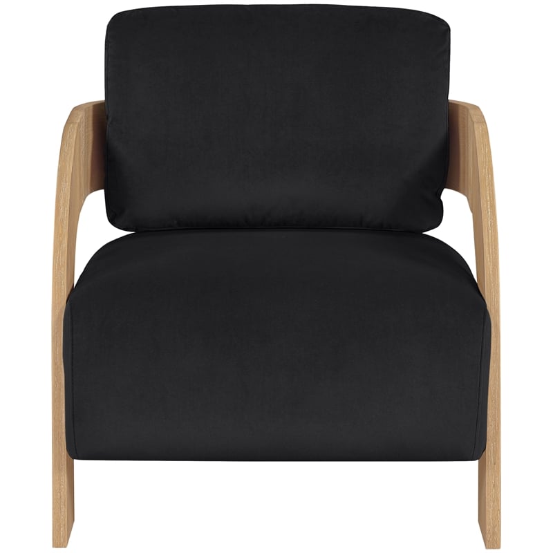 Meridian Furniture Cedra Black Velvet Performance Fabric Accent Chair