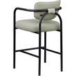 Meridian Furniture Serava Mint Vegan Leather Upholstered Bar Stool