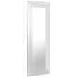 Camden Isle Lincoln Silver Classic Frame Wall Mirror with Beveled Mirrored Glass