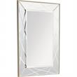 Camden Isle Insley Wall Mirror with Champagne Frame