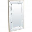 Camden Isle Insley Wall Mirror with Champagne Frame