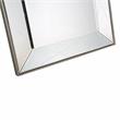Camden Isle Insley Wall Mirror with Champagne Frame