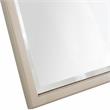 Camden Isle Aubrey Wall Mirror with Champagne Frame