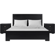 Camden Isle Oxford Wooden Black Queen Bed with Complete Slat System