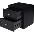 Winston Wooden Platform Bed in Black Queen with 2 Nightstands