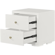 Camden Isle Wooden 2 Drawer Nightstand in White