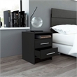 TUHOME Eter Nightstand Engineered Wood Nightstands in  Black