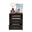 TUHOME Eter Nightstand Engineered Wood Nightstands in  Black
