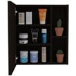 TUHOME Labelle Medicine Cabinet With Mirror Engineered Wood in  Black