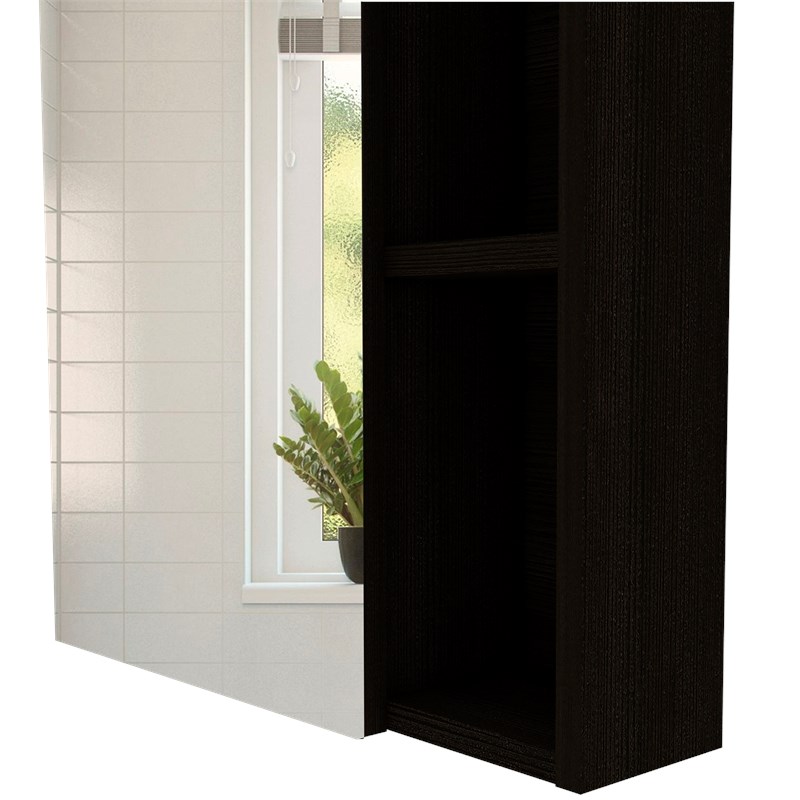 TUHOME Labelle Medicine Cabinet With Mirror Engineered Wood in  Black
