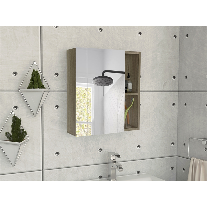 Tuhome Labelle Medicine Cabinet with Mirror- Mirrored - Engineered Wood
