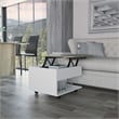 TUHOME Luanda Lift Top Coffee Table Engineered Wood  in  Multi-color