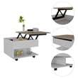 TUHOME Luanda Lift Top Coffee Table Engineered Wood  in  Multi-color