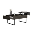 TUHOME Beyond Lift Top Coffee Table Engineered Wood in  Multi-color