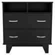 TUHOME Portanova Two Drawer Dresser - Black  Engineered Wood