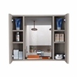 TUHOME Artemisa Medicine Cabinet  Engineered Wood Medicine Cabinets in  Gray