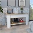 TUHOME Austin Storage Table Engineered Wood Entryway Benches in  Multi-color