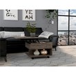 TUHOME Luanda Lift Top Coffee Table Engineered Wood Coffee Tables in  Brown