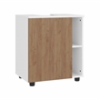 Pascuale Under Sink Cabinet Two Side Shelves Engineered Wood Multi-Color