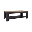 Tuhome Cecil Coffee Table with Open Storage Shelf in Multicolor