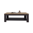 Tuhome Cecil Coffee Table with Open Storage Shelf in Multicolor