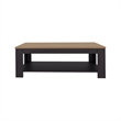 Tuhome Cecil Coffee Table with Open Storage Shelf in Multicolor
