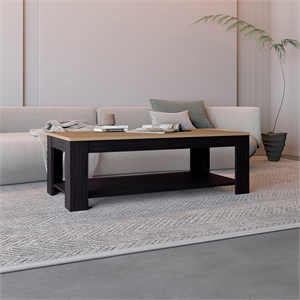 Tuhome Cecil Coffee Table with Open Storage Shelf in Multicolor