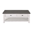 Martin Svensson Home Monterey Solid Wood 2 Drawer Coffee Table White and Gray