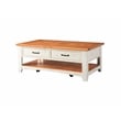 Martin Svensson Home Rustic Wood 2 Drawer Coffee Table Antique White and Honey