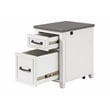 Martin Svensson Home Del Mar White and Grey File Cabinet with Fingerprint Lock