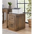Martin Svensson Home Brown 2 Drawer File Cabinet with with Fingerprint Lock
