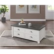 Martin Svensson Home Monterey Solid Wood Lift Top Coffee Table White and Gray
