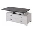 Martin Svensson Home Monterey Solid Wood Lift Top Coffee Table White and Gray