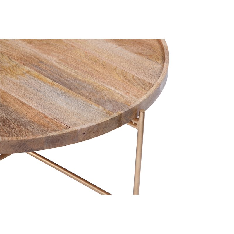 Hemingway Natural Solid Wood and Gold Metal Round Tray Top Coffee Table